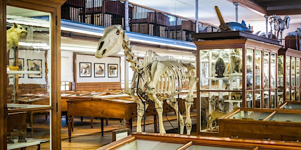 Visit the Wagner Museum 2025 | Wagner Free Institute of Science