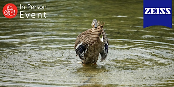 Birding Workshop: Seeing the World with Wonder | Inglewood Bird Sanctuary