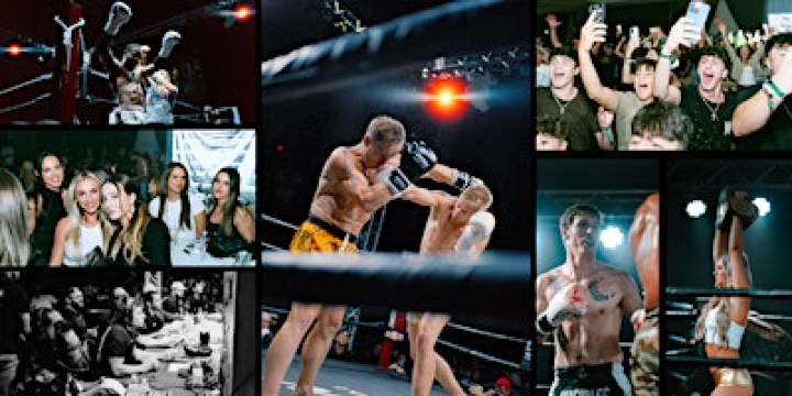 Mitten Muay Thai MMT 009 | Imperial House