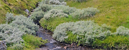 Mountain Woodland Action Group Conference | Birnam Arts