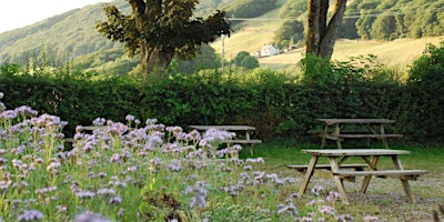 Learn Hedge-Laying | The Farmer's Arms, Lowick Green