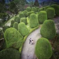 MUSHROOM HILL - RANCABOLANG