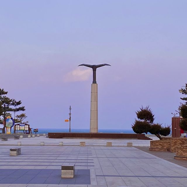 핑크빛 겨울바다, 낙산해수욕장