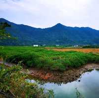 連島沙洲 －水浸咀排； 通天洞－芝麻籠