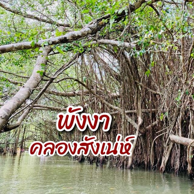 สัมผัสธรรมชาติ @คลองสังเน่ห์