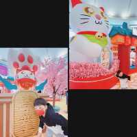 招財貓貓駕到
