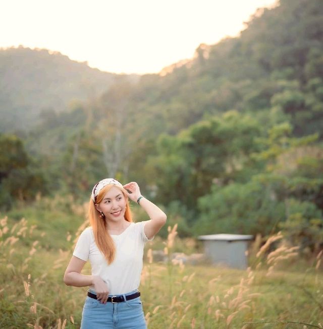 หลงรักเขา ไปกับ อุทยานแห่งชาติเขาใหญ่ 🍃