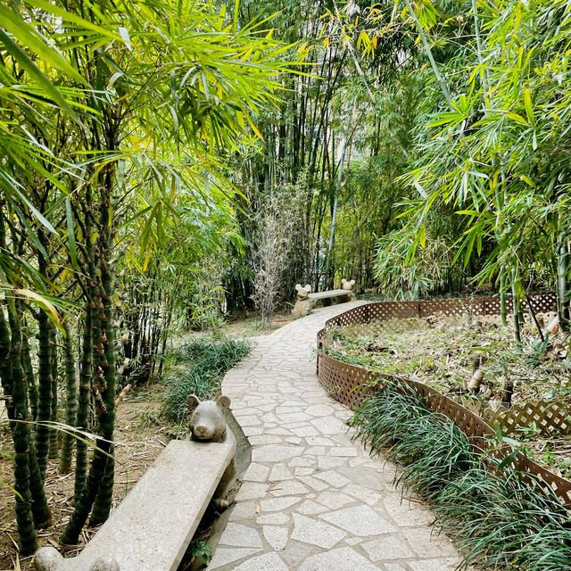 老少咸宜的香港動植物公園⛲️
