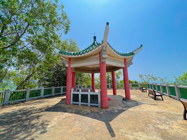 世界之大 中華白海豚