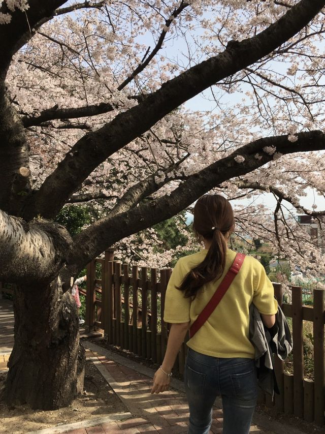 부산 해운대 달맞이길 걸어서 구경하기 