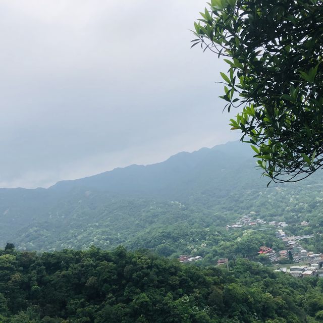 Xiaozishan Trail 孝子山步道🐾爬爬山呼吸新鮮空氣🌳新北平溪