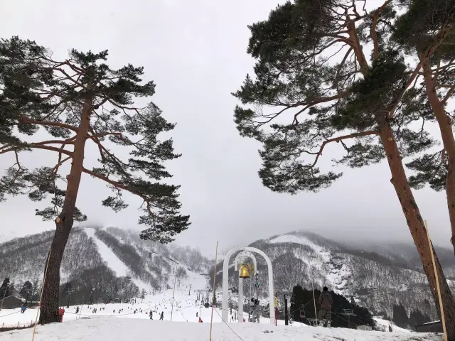 長野縣滑雪勝地｜白馬五龍滑雪場