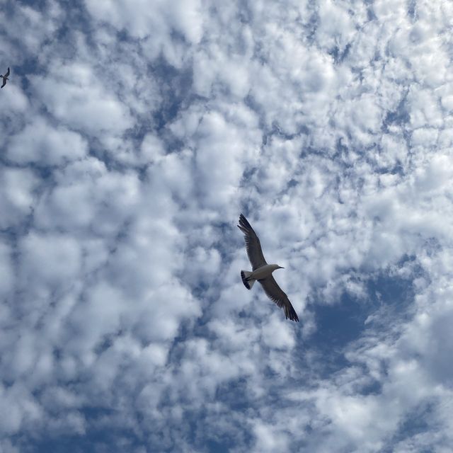 서울 근교로 떠나는 바다 🌊 인천 을왕리 🌊 