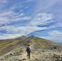뉴질랜드 남섬🇳🇿 로버트 산맥을 따라 걸어보아요⛰
