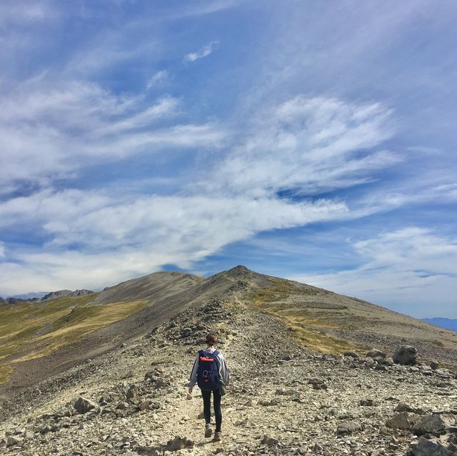 뉴질랜드 남섬🇳🇿 로버트 산맥을 따라 걸어보아요⛰