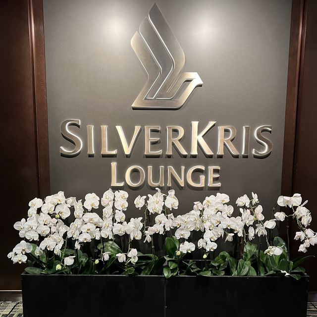 ✈️ Changi Airport lounges