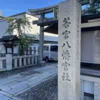 【京都府】永遠の美を授かれる美人神社を参拝！