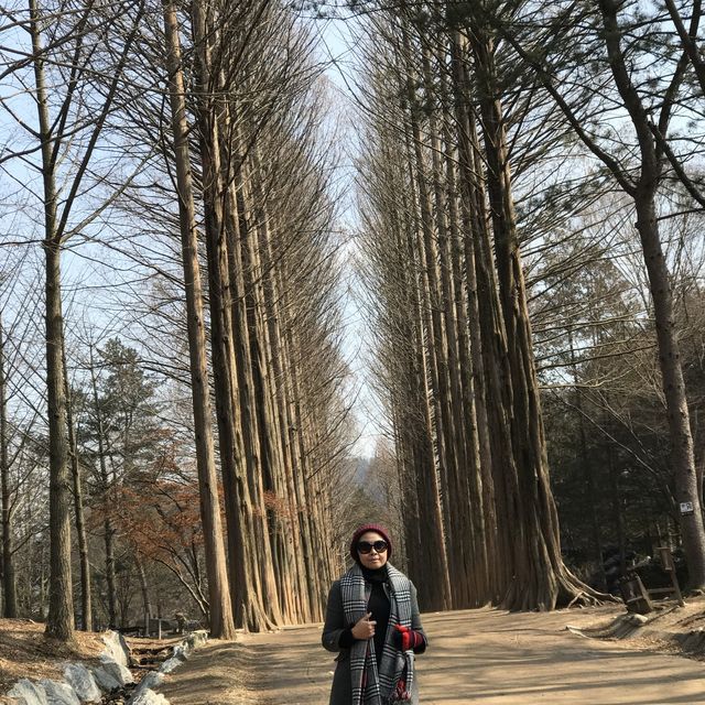 Most Romantic Dating Spot In Seoul