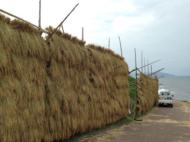 【輪島】日本一の棚田！白米千枚田をご紹介