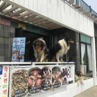 제주도 가면 가봐야 할 곳 ! 우도🏝️