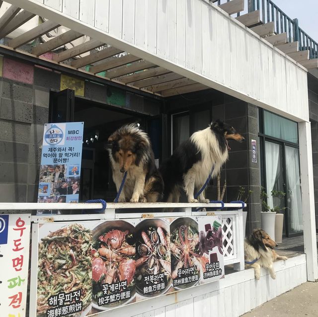 제주도 가면 가봐야 할 곳 ! 우도🏝️