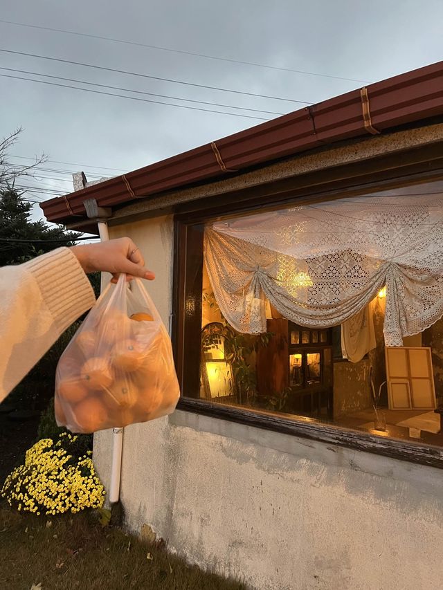 제주도 돌담 시골 뷰를 감상할 수 있는 애월 골목카페 옥수🍊