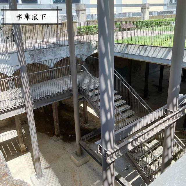 帕丁頓水庫花園 Paddington Reservoir Gardens 💐