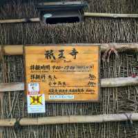 平家物語に登場する悲恋の尼寺【祇王寺】✨