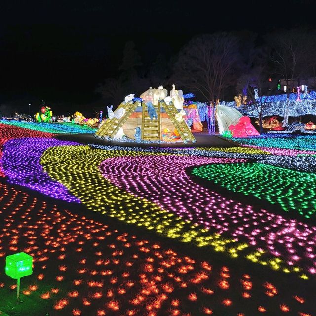 千葉県！東京ドイツ村のイルミネーション①