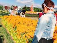 臺中后里 市郊人氣後花園 中社觀光花市花海