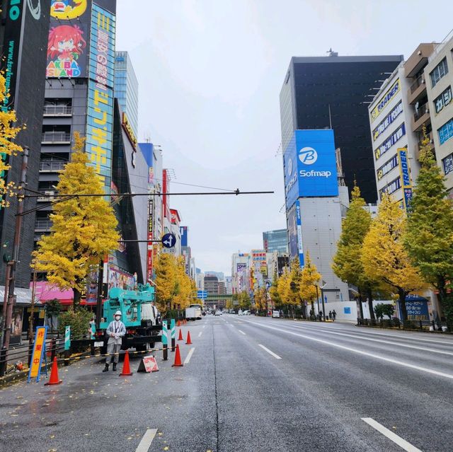 도쿄여행의 필수코스가 되어버린 아키하바라