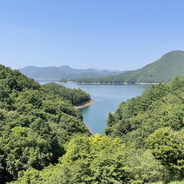충주 악어 포토존 게으른악어🐊