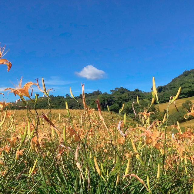 花蓮赤科山&六十石山