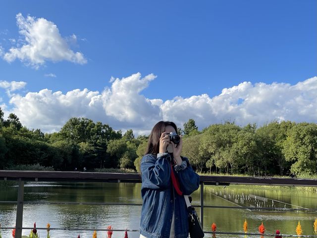 지금 서울숲은🌲