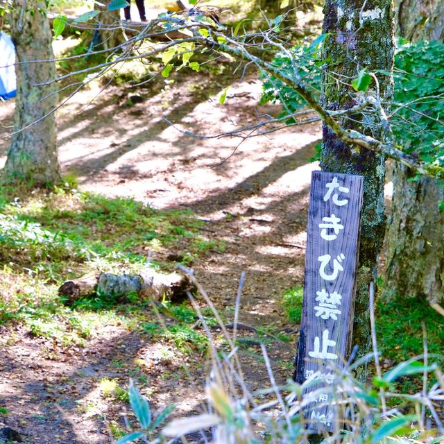 福ちゃん荘テント場