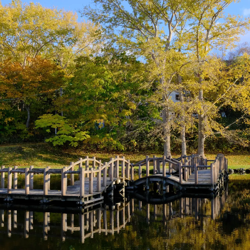 紅葉の修景池