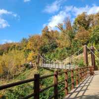 [Voyage 59] 🍁아름다운 단풍으로 물든 계양산⛰