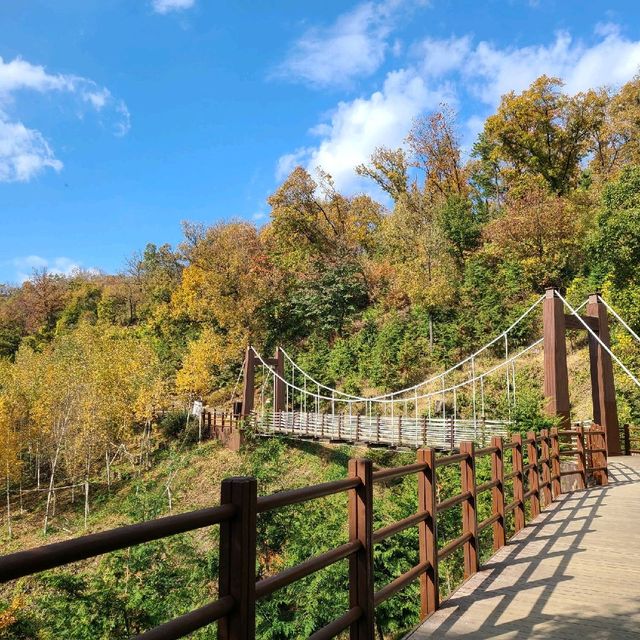 [Voyage 59] 🍁아름다운 단풍으로 물든 계양산⛰