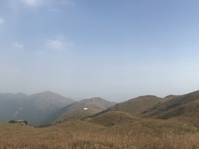 秋季芒草行🌾🌾 秋季芒草行🌾🌾