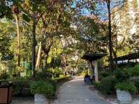 鳥語花香｜荔枝角公園