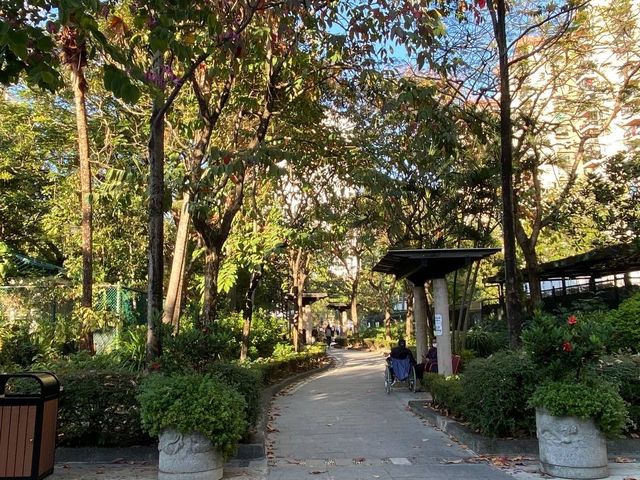 鳥語花香｜荔枝角公園