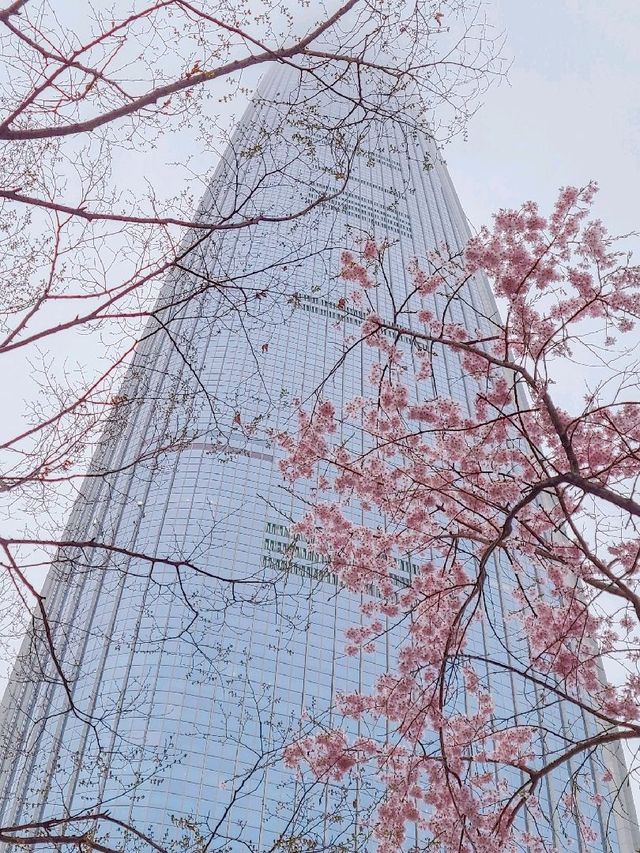 서울 벚꽃 명소 추천, 잠실 석촌호수
