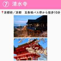 この春行きたい！お花見スポット7選