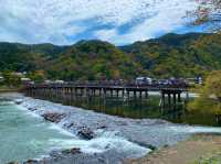 京都　KYOTO SAKURAめぐり❗️渡月橋から嵐山公園中之島地区まで散策してみた！