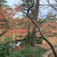 秋の兼六園