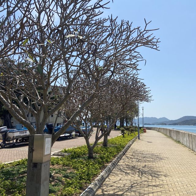 快閃坪洲