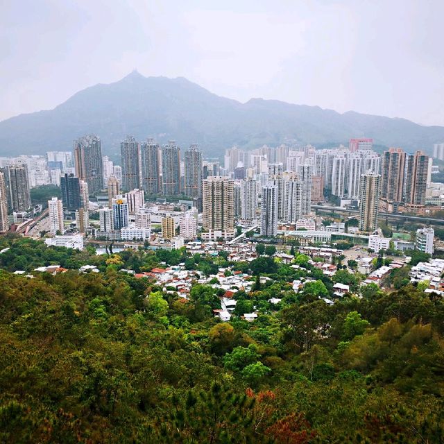 藍地水塘 屯門徑 彩虹欄桿