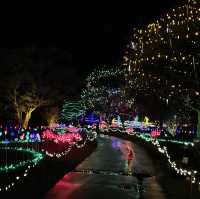Christmas lights festival at the botanical gardens 