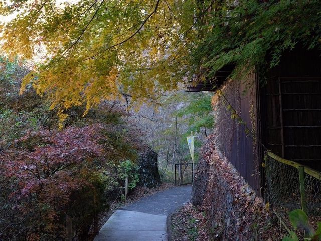 日本三大名瀑布｜袋田瀑布