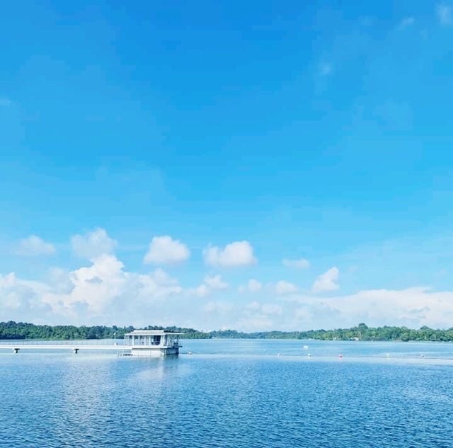 The Lone Tree @ Upper Seletar Reservoir Park 